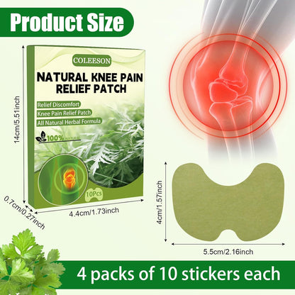 PatchCare™ - Natural Pain Relief Patches